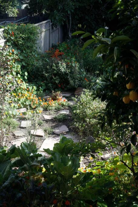 Beautiful, Historic Family Home Near Lake Merritt Oakland Zewnętrze zdjęcie